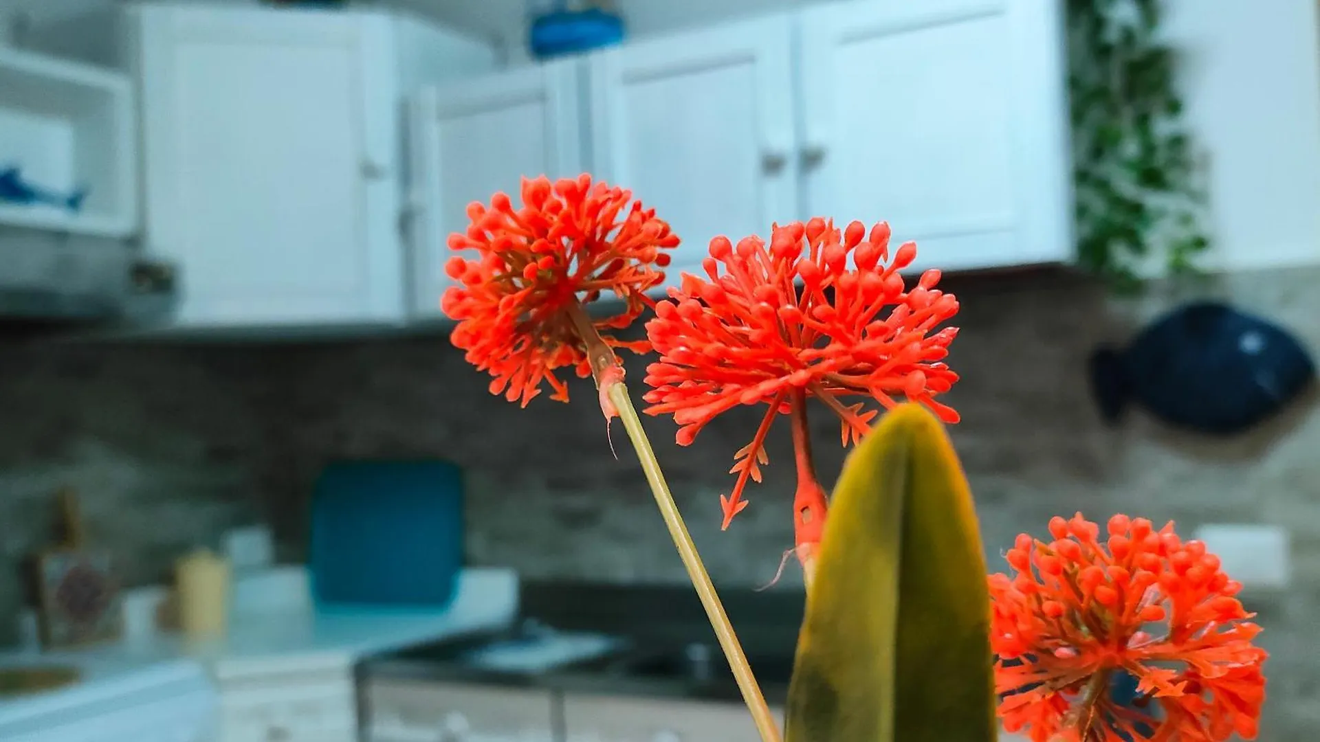 Apartman Angela 'S Holiday House Pozzallo